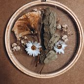 Secagem e bastidor. Design floral e vegetal projeto de Raquel Cristina Francisco - 30.11.2021