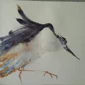Mi Proyecto del curso: Acuarela naturalista con expresión y personalidad. Un progetto di Illustrazione tradizionale, Pittura ad acquerello e Illustrazione naturalistica di pedroarcegonzalez - 01.12.2021