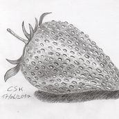 My Drawings. Ilustração tradicional projeto de Carmen Stange - 02.12.2021