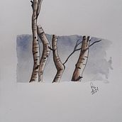 Imparare l'acquarello. Un proyecto de Ilustración tradicional de Francesca Rennis - 03.12.2021
