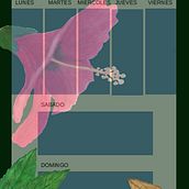 Mi Proyecto del curso: Ilustración botánica con acuarela. Traditional illustration, Fine Arts, Painting, Drawing, Watercolor Painting, and Botanical Illustration project by Pablo González Julian - 12.03.2021