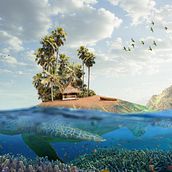 Turtle Island. Un projet de Photographie, Collage, Retouche photographique, Photographie artistique, Composition photographique , et Photomontage de mattgalbiati - 03.12.2021