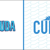 My project in Logo Design : From Concept to Presentation course. Design, Br, ing, Identit, Graphic Design, and Logo Design project by bhuvan099 - 12.04.2021