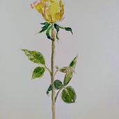 watercolor. Painting project by Chris de Weerd (Kellerman) - 12.04.2021