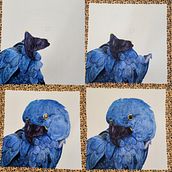 Mon projet du cours : Techniques artistiques d'aquarelle pour illustrer les oiseaux. Un progetto di Illustrazione tradizionale, Pittura ad acquerello, Disegno realistico e Illustrazione naturalistica di Marie - 04.12.2021