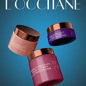 Refonte d'identité visuelle - L'Occitane. Br, ing, Identit, Design, Advertising, Graphic Design, Packaging, Vector Illustration, Creativit, Poster Design, Logo Design, and Drawing project by Anna Slt - 06.15.2021