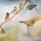 My project in Artistic Watercolor Techniques for Illustrating Birds course. Un proyecto de Ilustración tradicional, Pintura a la acuarela, Dibujo realista e Ilustración naturalista				 de ddoug.williams10 - 04.12.2021