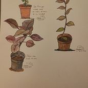 Mi Proyecto del curso: Dibujo para principiantes nivel -1. Pencil Drawing, Drawing, Creating with Kids, and Sketchbook project by Cristina Marin - 12.05.2021