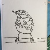 My project in Artistic Watercolor Techniques for Illustrating Birds course. Projekt z dziedziny Trad, c, jna ilustracja, Malowanie akwarelą, R, sunek realist, czn, Ilustracja naturalist i czna użytkownika Pip Grant-Taylor - 05.12.2021