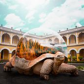 la imaginación no tiene limites. Un proyecto de Fotografía artística e Ilustración digital de Ibrham Sanz - 05.12.2021