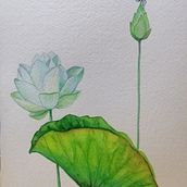Illustrazione botanica con acquerello. Un proyecto de Ilustración tradicional de Erika Utzeri - 30.11.2021