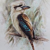 My project in Artistic Watercolor Techniques for Illustrating Birds course. Un proyecto de Ilustración tradicional, Pintura a la acuarela, Dibujo realista e Ilustración naturalista				 de Julie Ricketts - 07.12.2021