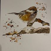 My project in Artistic Watercolor Techniques for Illustrating Birds course. Traditional illustration, Watercolor Painting, Realistic Drawing, and Naturalistic Illustration project by Ellinor Bengtsson - 12.08.2021