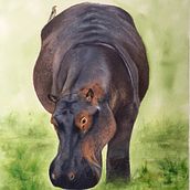 My project in Expressive Animal Portraits in Watercolor course. Un proyecto de Ilustración tradicional, Pintura a la acuarela, Dibujo realista e Ilustración naturalista				 de Carolann Hair - 07.12.2021