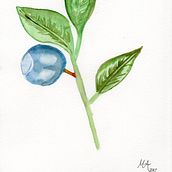 Mi Proyecto del curso: Ilustración botánica con acuarela. Traditional illustration, Fine Arts, Painting, Drawing, Watercolor Painting, and Botanical Illustration project by Maria Alejandra Jaramillo Cobo - 12.09.2021