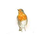 Pequeñas aves. Traditional illustration, Fine Arts, and Drawing project by Virginia Castillo Muñoz - 12.09.2021