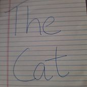 The Cat. Un proyecto de Escritura, Creatividad, Stor, telling y Narrativa de Riya Deepu - 09.12.2021