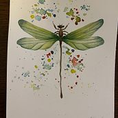 My project in Naturalist Illustrations with Watercolors: Drawing and Composition course. Traditional illustration, Drawing, Watercolor Painting, and Naturalistic Illustration project by Ellinor Bengtsson - 12.09.2021