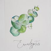 Mon projet du cours : Carnet de croquis botanique : une approche méditative. Traditional illustration, Sketching, Drawing, Watercolor Painting, Botanical Illustration, and Sketchbook project by annick_cohen - 12.09.2021