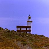 Estate italiana . % Valentina Anthony Destantini tarafından hazırlanan Fotoğrafçılık, Ve Film Fotoğrafçılığı projesi - 12.09.2021