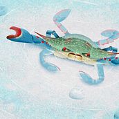 Mi Proyecto del curso: Ilustración de fauna salvaje para libros infantiles. Un progetto di Illustrazione vettoriale, Illustrazione digitale e Illustrazione infantile di typerez - 09.12.2021