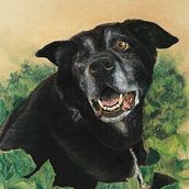Soft Pastel Pet Portraits. Un proyecto de Bellas Artes de Ellie Bejar - 10.12.2021