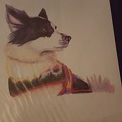 Dog protrait illustration. Traditional illustration project by Lynn Zacharia - 12.10.2021