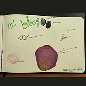 Mi cuaderno se llama:  blocg. Een project van Tekening met potlood,  Tekening, Creativiteit met kinderen y Sketchbook van Silvia Suárez Pérez - 10.12.2021