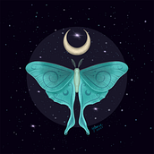 Moths. Traditional illustration, Design, Drawing, Printing, and Digital Painting project by Debora Torigoe - 12.10.2021