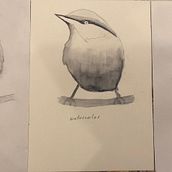 My project in Artistic Watercolor Techniques for Illustrating Birds course. Traditional illustration, Watercolor Painting, Realistic Drawing, and Naturalistic Illustration project by Inass Said - 12.11.2021