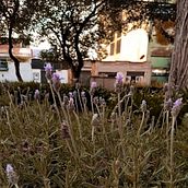 Golden hour . Un proyecto de Fotografía de Jorge Porcayo - 11.12.2021