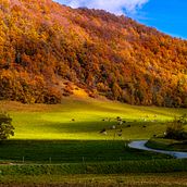 Mon projet du cours : La théorie des couleurs en photographie. Un progetto di Fotografia, Ritocco fotografico, Fotografia digitale, Composizione fotografica e Teoria del colore di Brice ARETIN - 12.12.2021