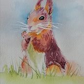 Mon projet du cours : Portraits expressifs d'animaux à l'aquarelle. Een project van Traditionele illustratie, Aquarelschilderen, Realistische tekening y Naturalistische illustratie van Tine FRANCOIS - 12.12.2021