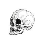 My project in Blackwork Tattoo Design course. Traditional illustration, Digital Illustration, and Tattoo Design project by Louise Sumner - 12.13.2021