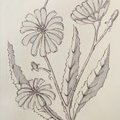 30-Day Challenge: Daily Sketching for Creative Inspiration. Traditional illustration, Sketching, Creativit, Drawing, and Sketchbook project by echolorien - 01.10.2022
