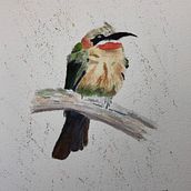 My project in Artistic Watercolor Techniques for Illustrating Birds course. Traditional illustration, Watercolor Painting, Realistic Drawing, and Naturalistic Illustration project by geezerguy - 11.10.2021