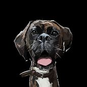 Meu projeto do curso: Criação de caricaturas com Infinite Painter. Un proyecto de Ilustración tradicional e Ilustración digital de Tiago Santos - 14.12.2021