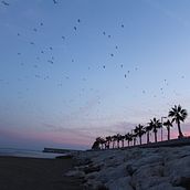 Playa alada con atardecer. Photograph, L, and scape Architecture project by Ana Palma Molina - 12.25.2018