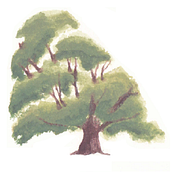Summer Tree Watercolour Painting. Un progetto di Pittura ad acquerello di Klara Kmetova - 15.12.2021