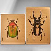 FRAHM Packaging Ein Projekt aus dem Bereich Design, Fotografie, Grafikdesign, Verpackung, Schrift, Cop, writing, Modedesign und E-Commerce von Jamie Ellul - 15.12.2021