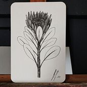 Meu projeto do curso: Desenho de tatuagem blackwork Ein Projekt aus dem Bereich Traditionelle Illustration, Digitale Illustration und Tattoodesign von Ryuu Pezzi - 02.01.2022