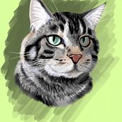 Meu projeto do curso: Ilustração naturalista de animais com Procreate. Traditional illustration, Digital Illustration, Realistic Drawing, and Naturalistic Illustration project by Rapha Martins - 12.16.2021