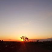 Meu projeto do curso: Introdução à fotografia aérea com drones . % Lindauro Alves Coutinho Jr tarafından hazırlanan Fotoğrafçılık, Video, Ve Açık Hava Fotoğrafçılığı projesi - 12.18.2021
