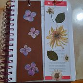 Mi Proyecto del curso: Técnicas básicas de prensado botánico. Un progetto di Artigianato, Belle arti, Collage, DIY, Design floreale e vegetale e Design di Victoria Villacorta - 16.12.2021