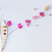 Suspiro Ein Projekt aus dem Bereich Fotografie, Fotografische Komposition und Design von Mariel Gomez Arevalo - 18.12.2021