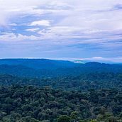 Meu projeto do curso: Introdução à fotografia digital no modo manual Ein Projekt aus dem Bereich Fotografie, Digitalfotografie und Fotografische Komposition von Patrícia De Sousa - 19.12.2021