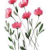 Coral Wildflowers. Design e Ilustração tradicional projeto de Rita Flannery - 19.12.2021