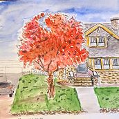 Huizen in Janesville. Traditional illustration project by Lucy Schouten - 12.19.2021