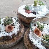 Mi Proyecto del curso: Arte vegetal: crea tu propio terrario abierto. Projekt z dziedziny Projektowanie wnętrz, Architektura krajobrazu,  Dekoracja wnętrz, DIY, Kompoz i cje kwiatowe i botaniczne użytkownika Cintia Simizu - 19.12.2021