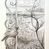 Dip pen and ink: Capturing the natural world . Traditional illustration project by margaret_casagrande - 12.14.2021